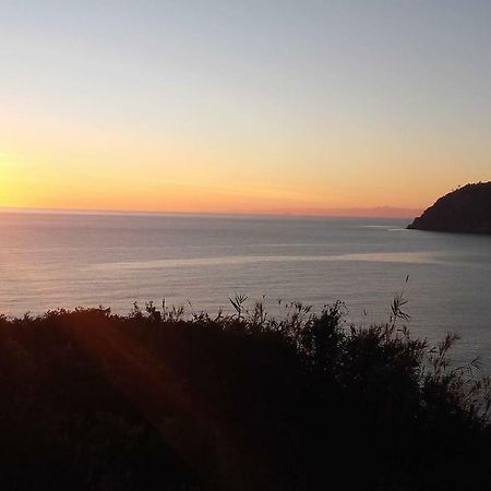 모네글리아 Un Gioiello Con Vista Mare 빌라 외부 사진